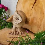 Panorama-ferienhaus Im Stubaital 펜션